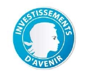 Investissements_d_Avenir